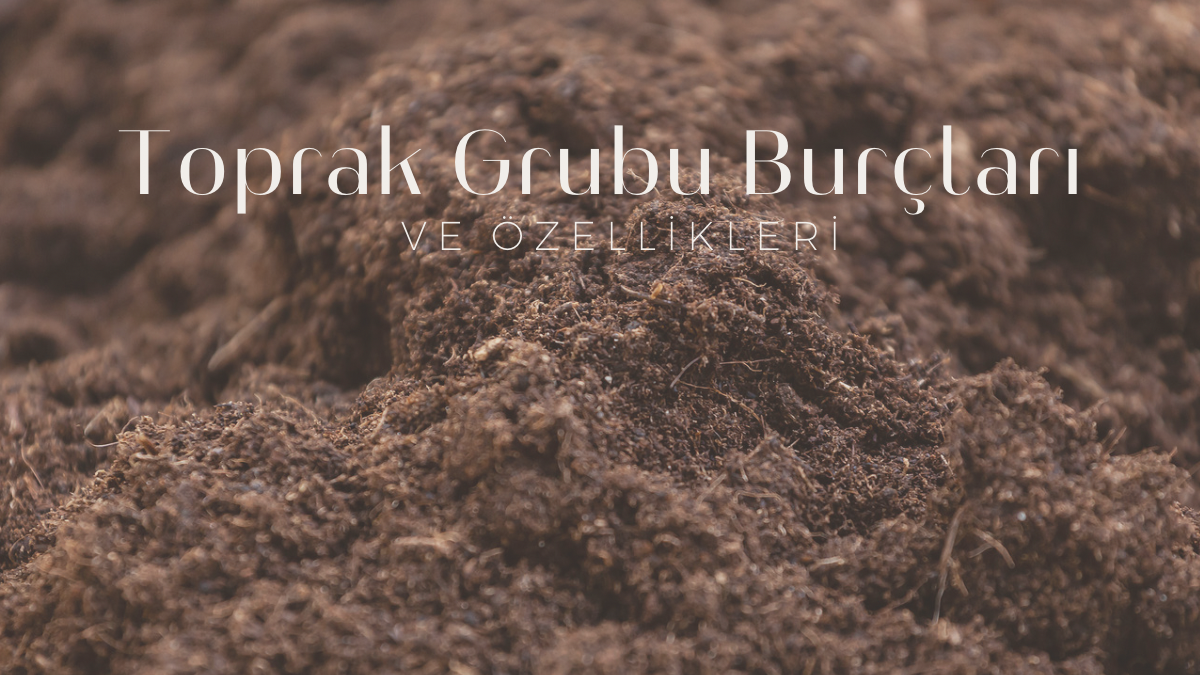 toprak-grubu-burclari