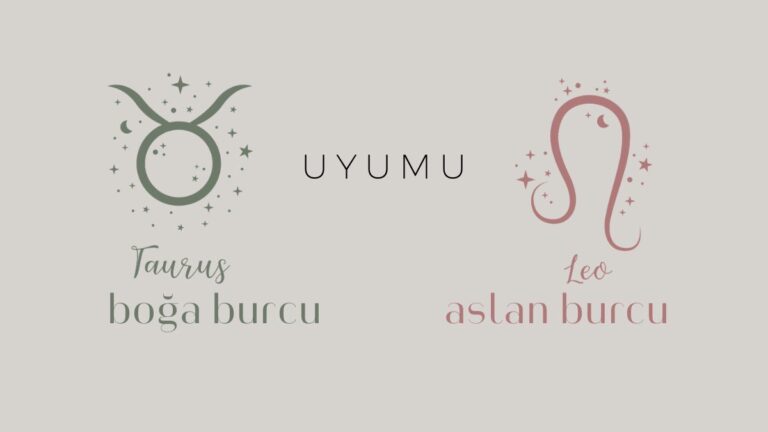 boga-burcu-ve-aslan-uyumu