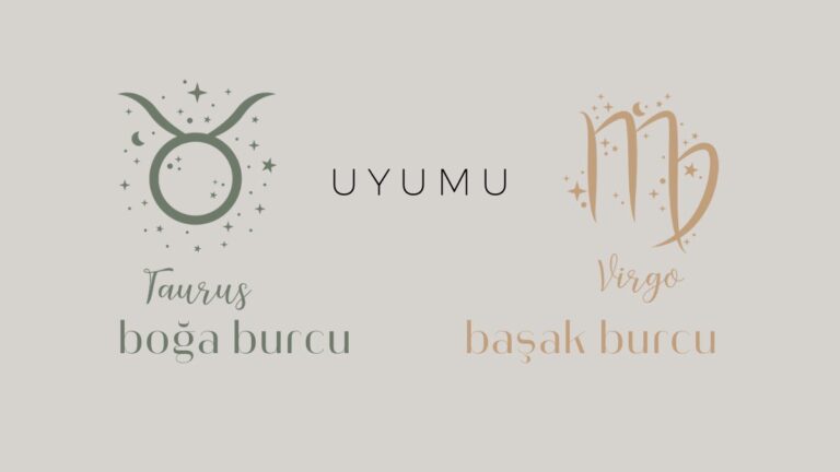 boga-burcu-ve-basak-uyumu
