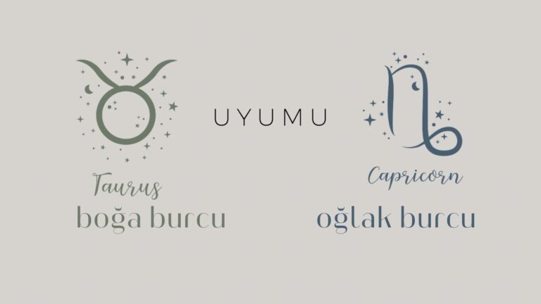 boga-burcu-ve-oglak-uyumu