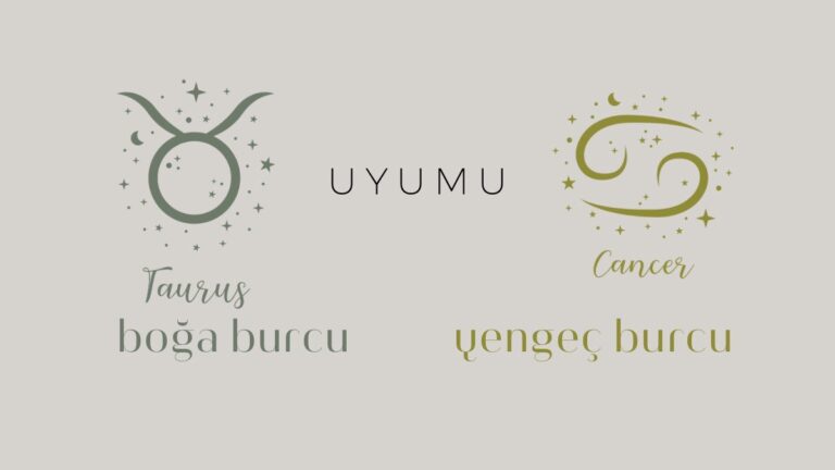 boga-burcu-ve-yengec-uyumu