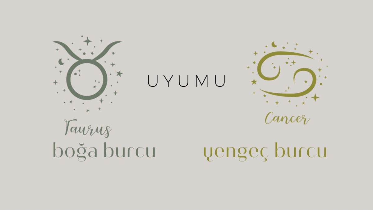 boga-burcu-ve-yengec-uyumu
