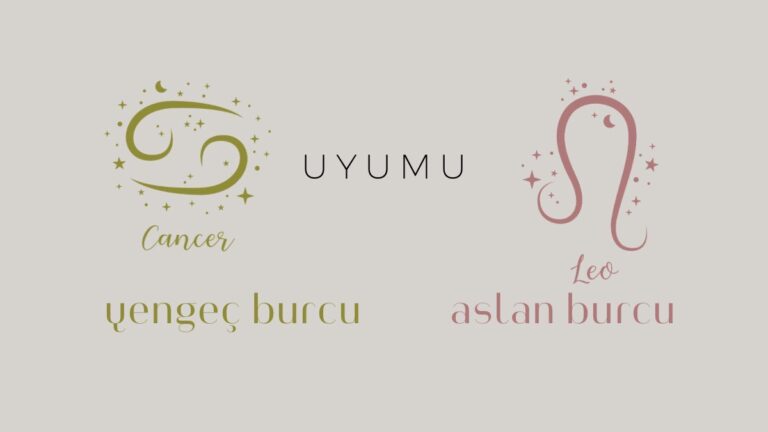 yengec-burcu-ve-aslan-uyumu